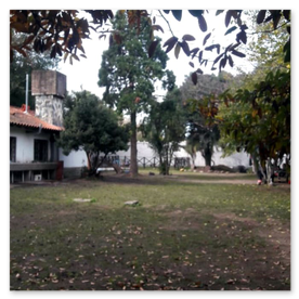  AC VIVE LIBRE - Comunidad Terapeutica