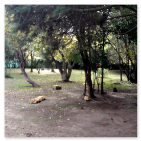  AC VIVE LIBRE - Comunidad Terapeutica