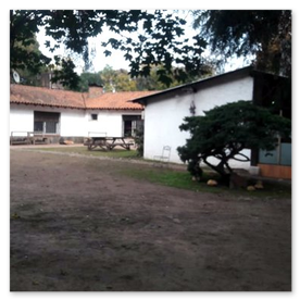  AC VIVE LIBRE - Comunidad Terapeutica